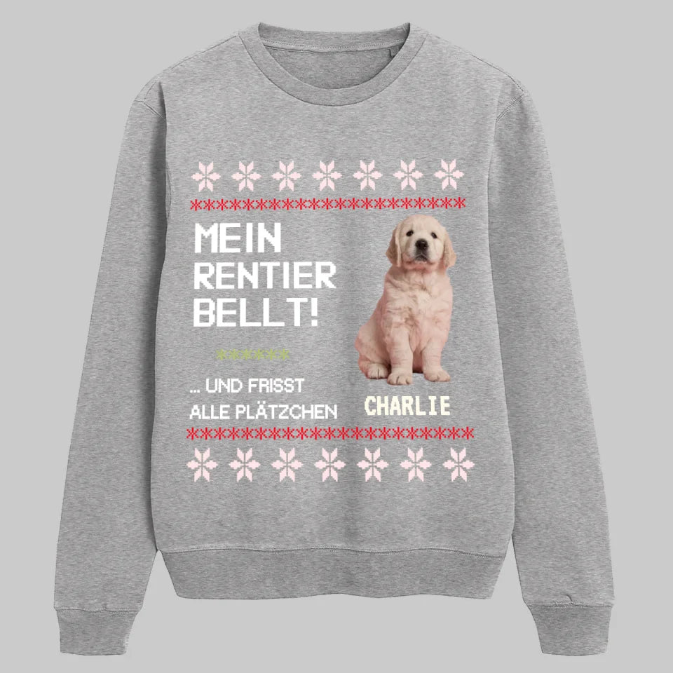 Sport Grey SWEATSHIRT Petnovia