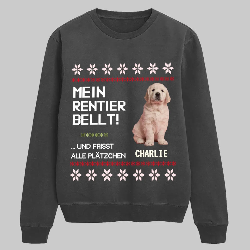 Dark Heather SWEATSHIRT Petnovia