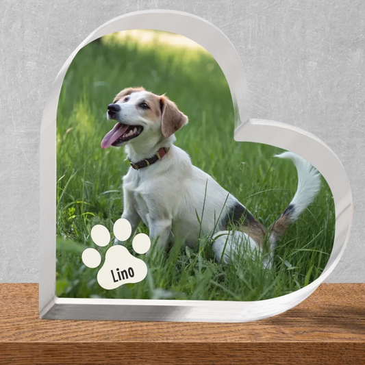 Foto mit Pfote - Individueller Acryl Aufsteller