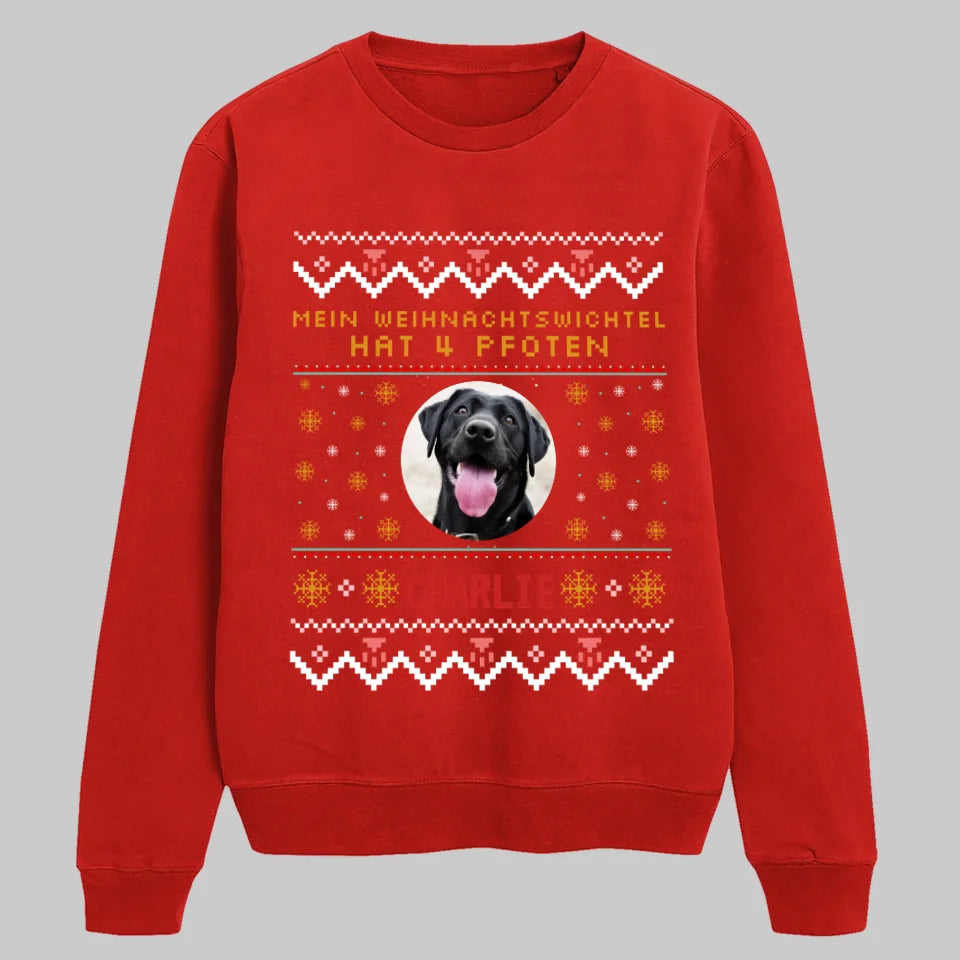 Red SWEATSHIRT Petnovia