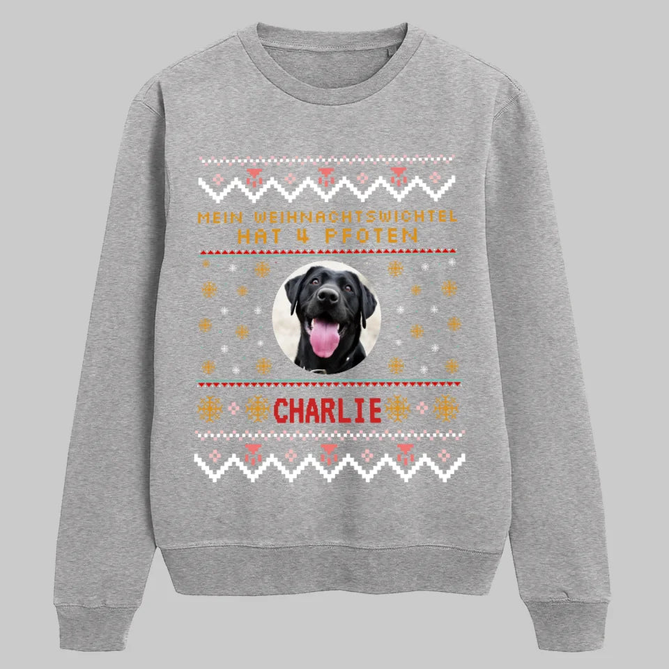 Sport Grey SWEATSHIRT Petnovia