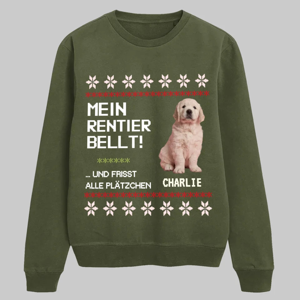 Military Green SWEATSHIRT Petnovia