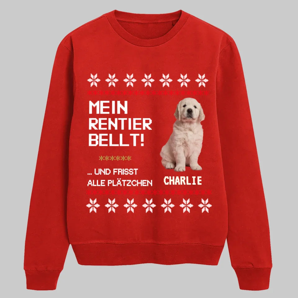 Red SWEATSHIRT Petnovia