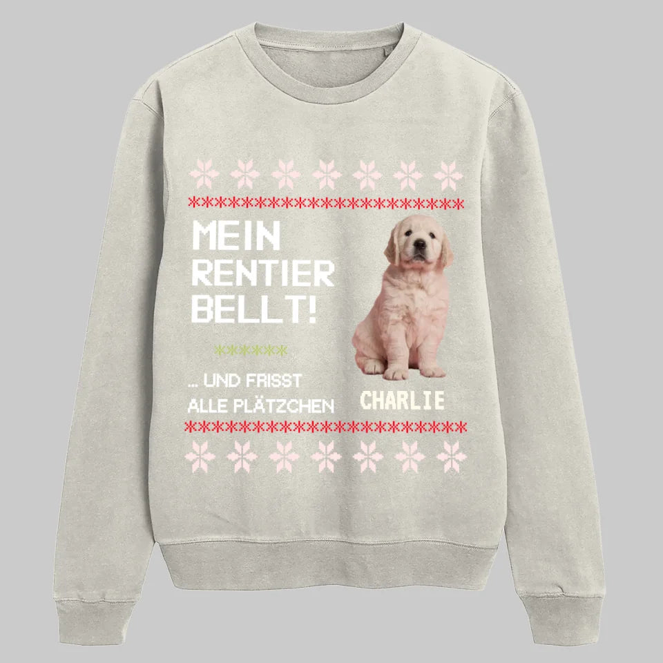 Sand SWEATSHIRT Petnovia