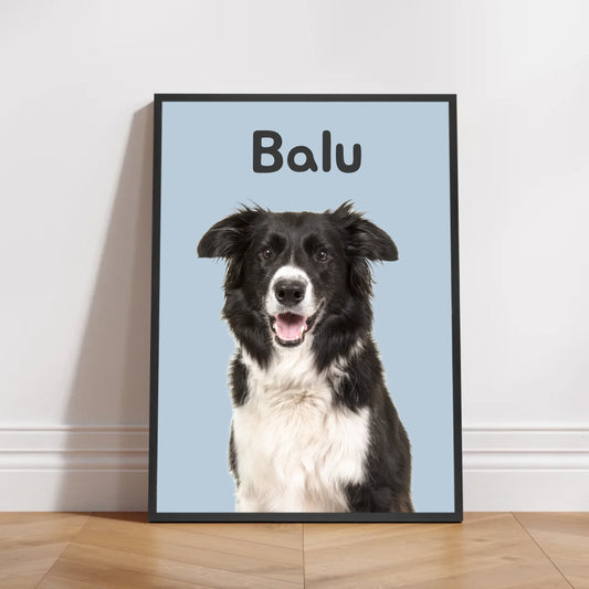 Petnovia Mockup Rahmen Schwarz Poster