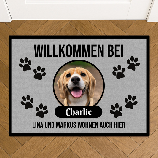 Fußmatte Mockup Petnovia