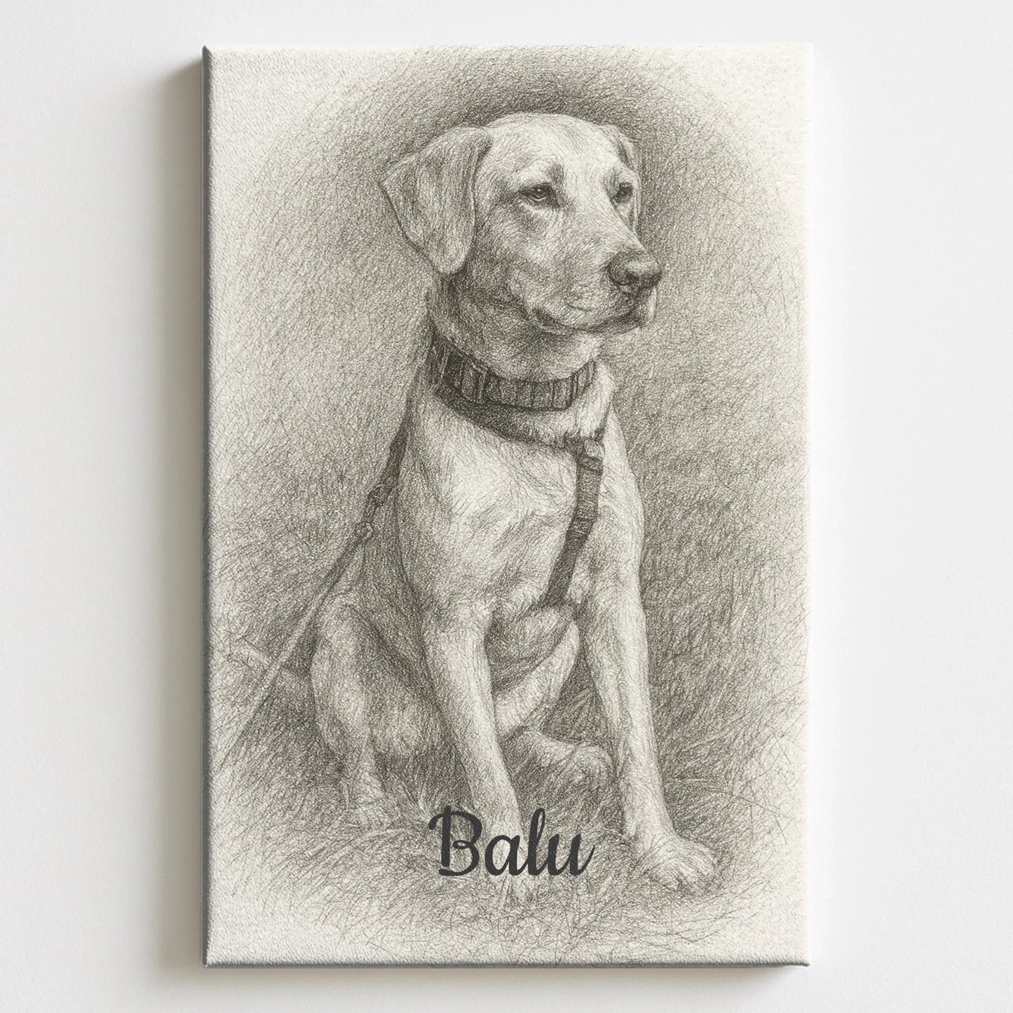 Mockup Canvas Pfotly