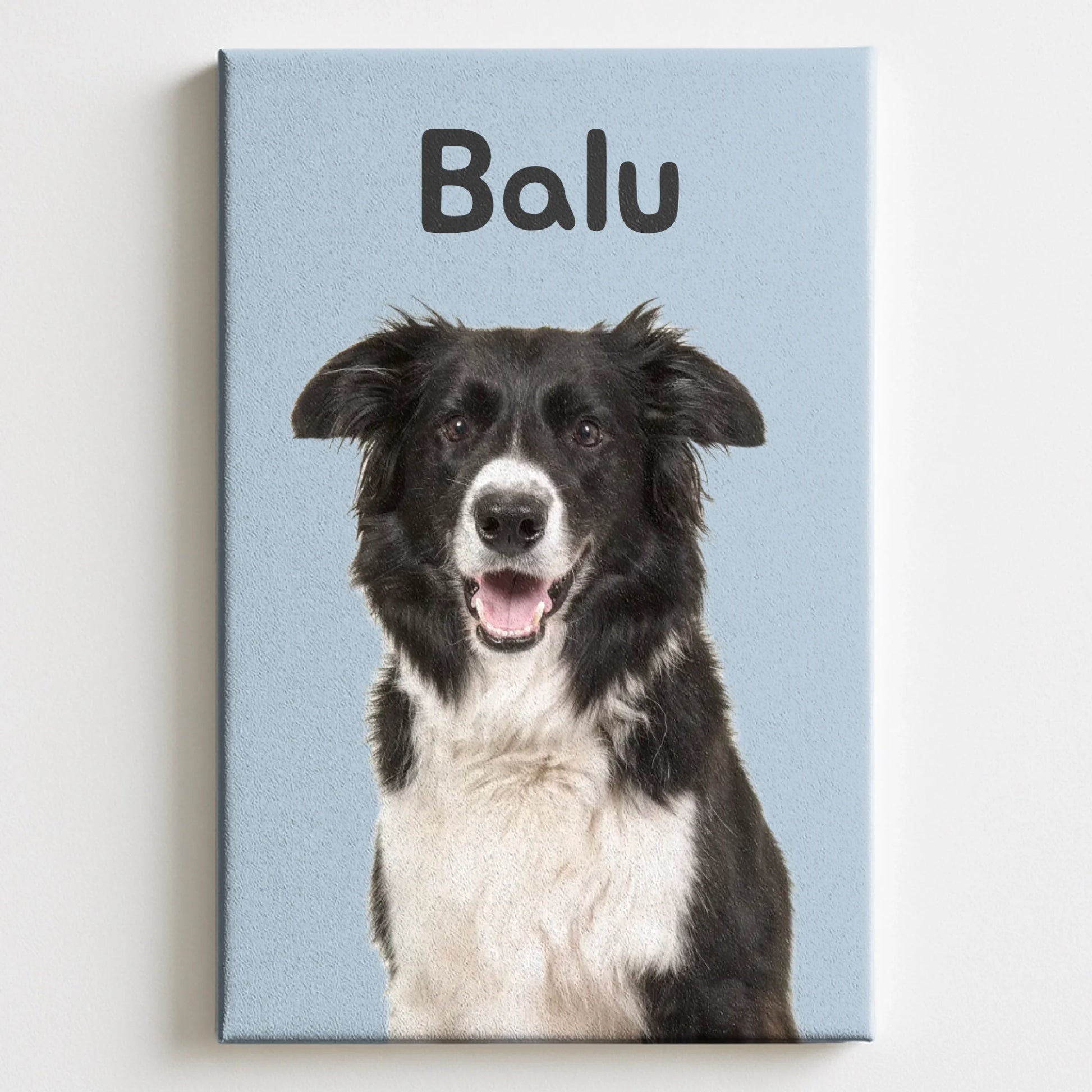 Canvas Mockup 2-3 Pfotly