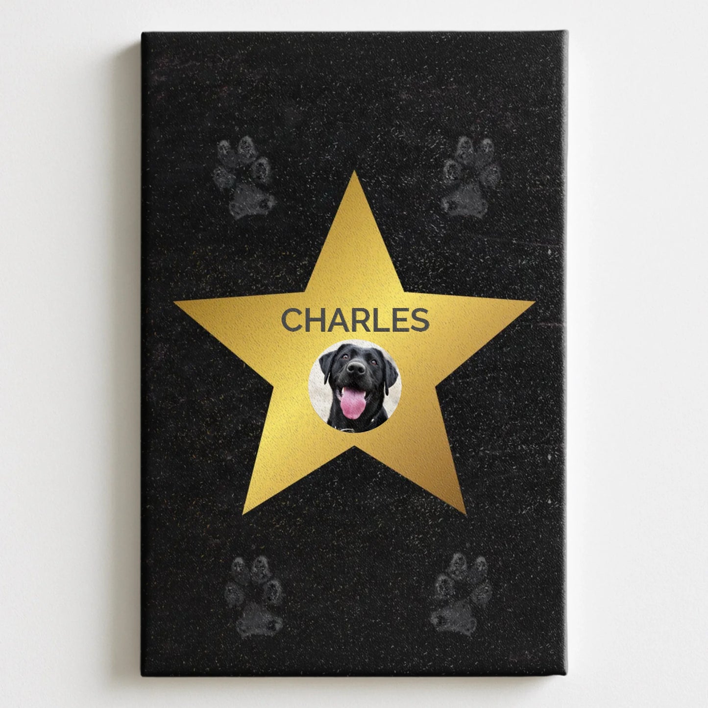 Canvas Mockup 2-3 Pfotly