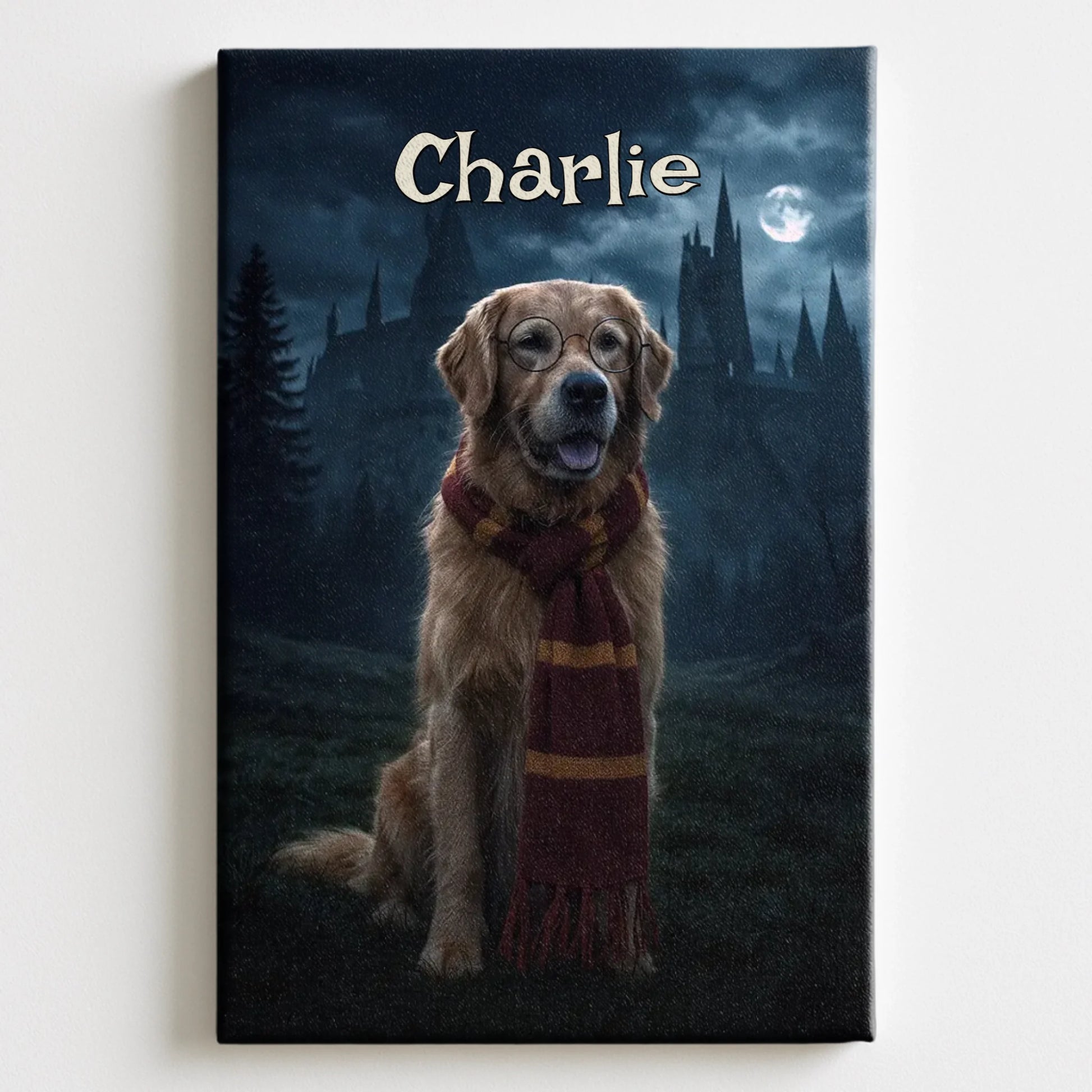 Mockup Canvas Pfotly