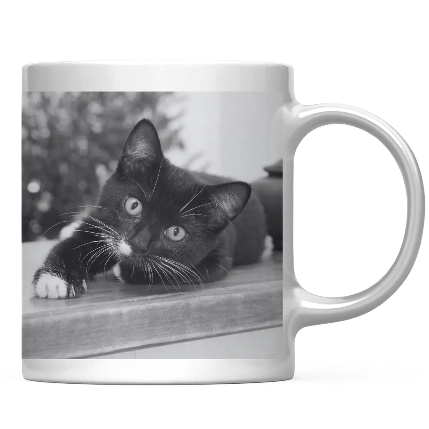 Mug Basic Front Back Pfotly