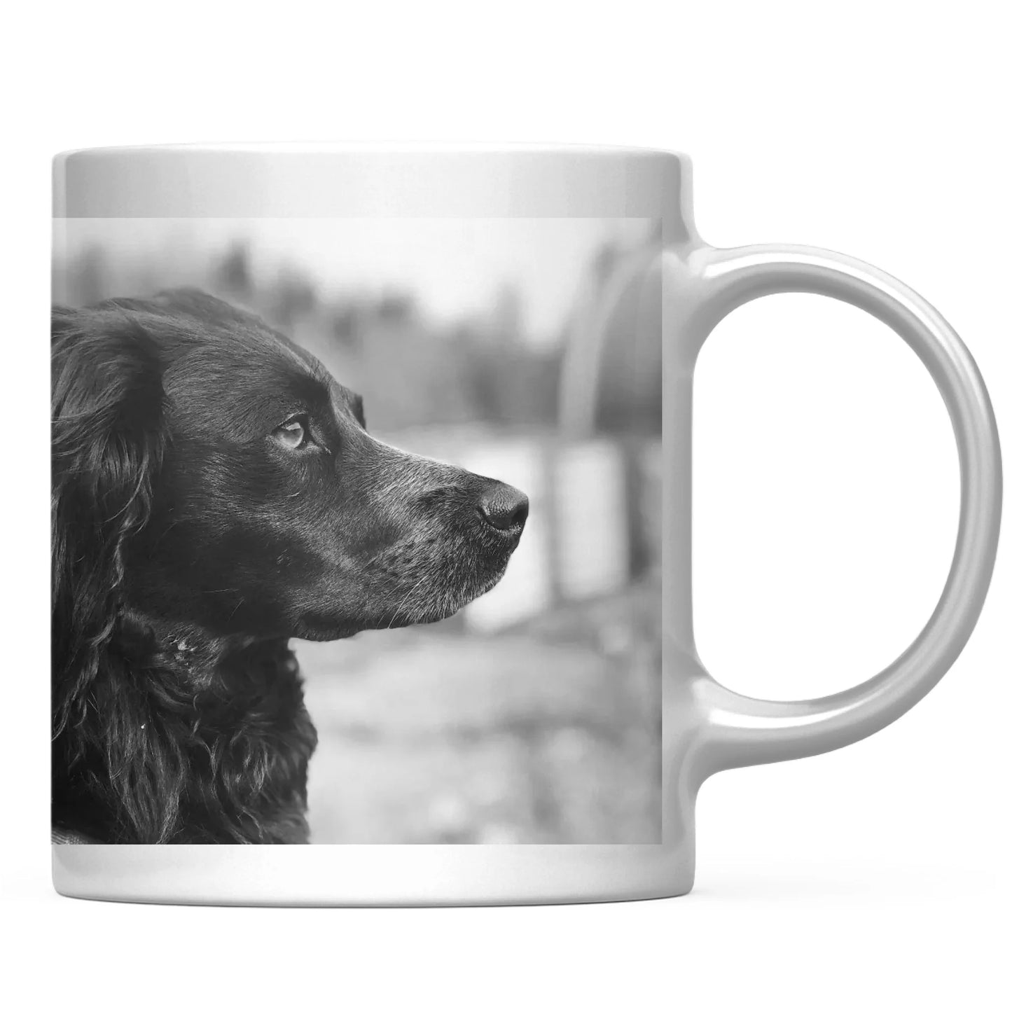 Mug Basic Front Back Pfotly