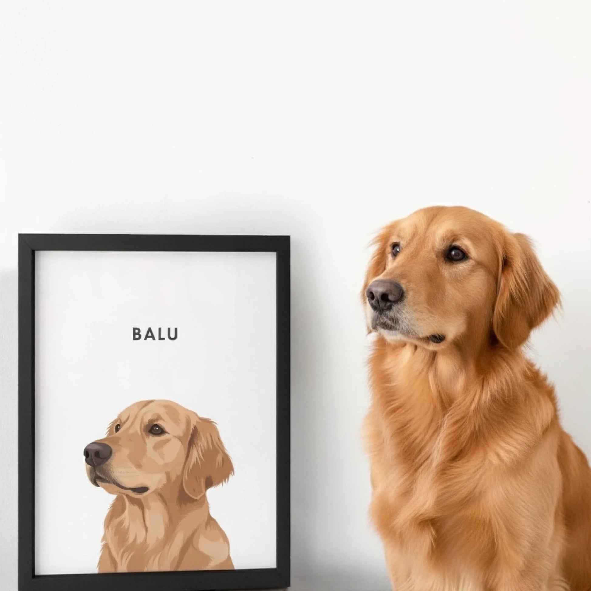 hund bild pawsney_