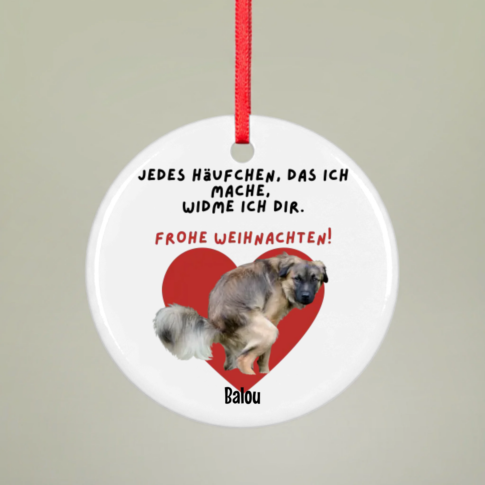 Mockup 1 Ornament Round Pfotly