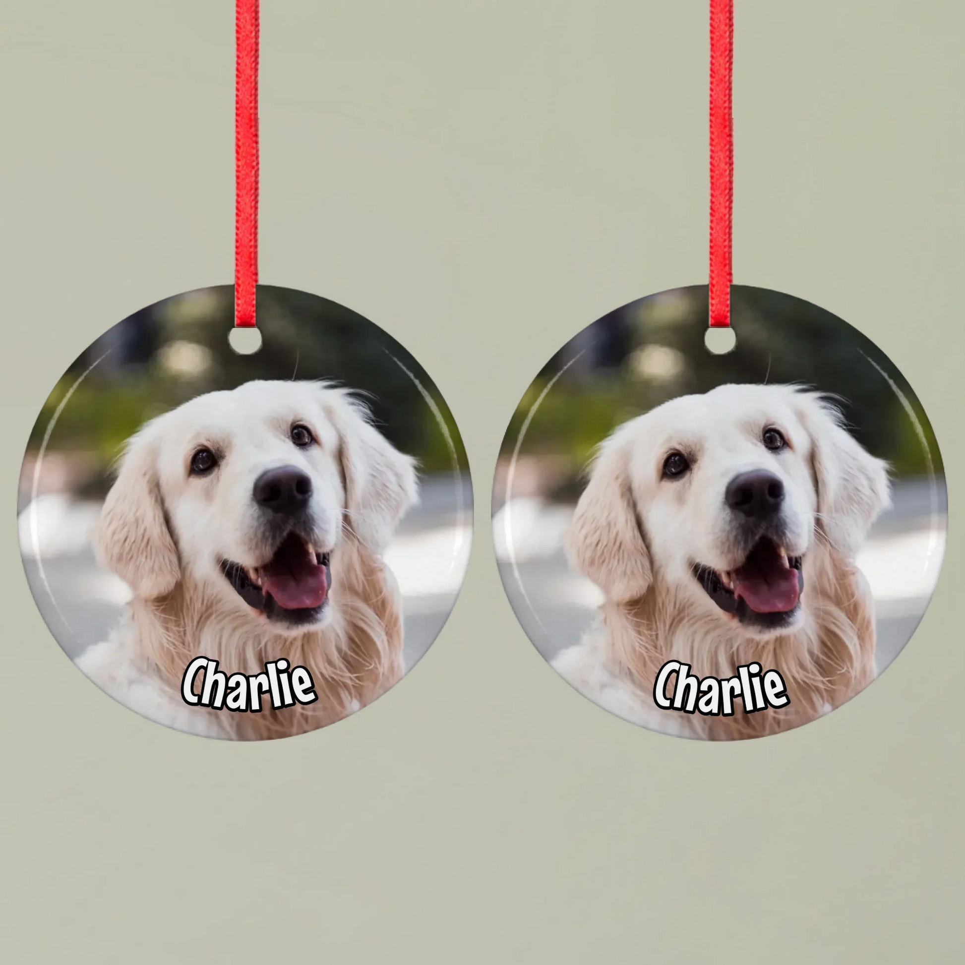 Ornament 1 Round double Mockup Pfotly