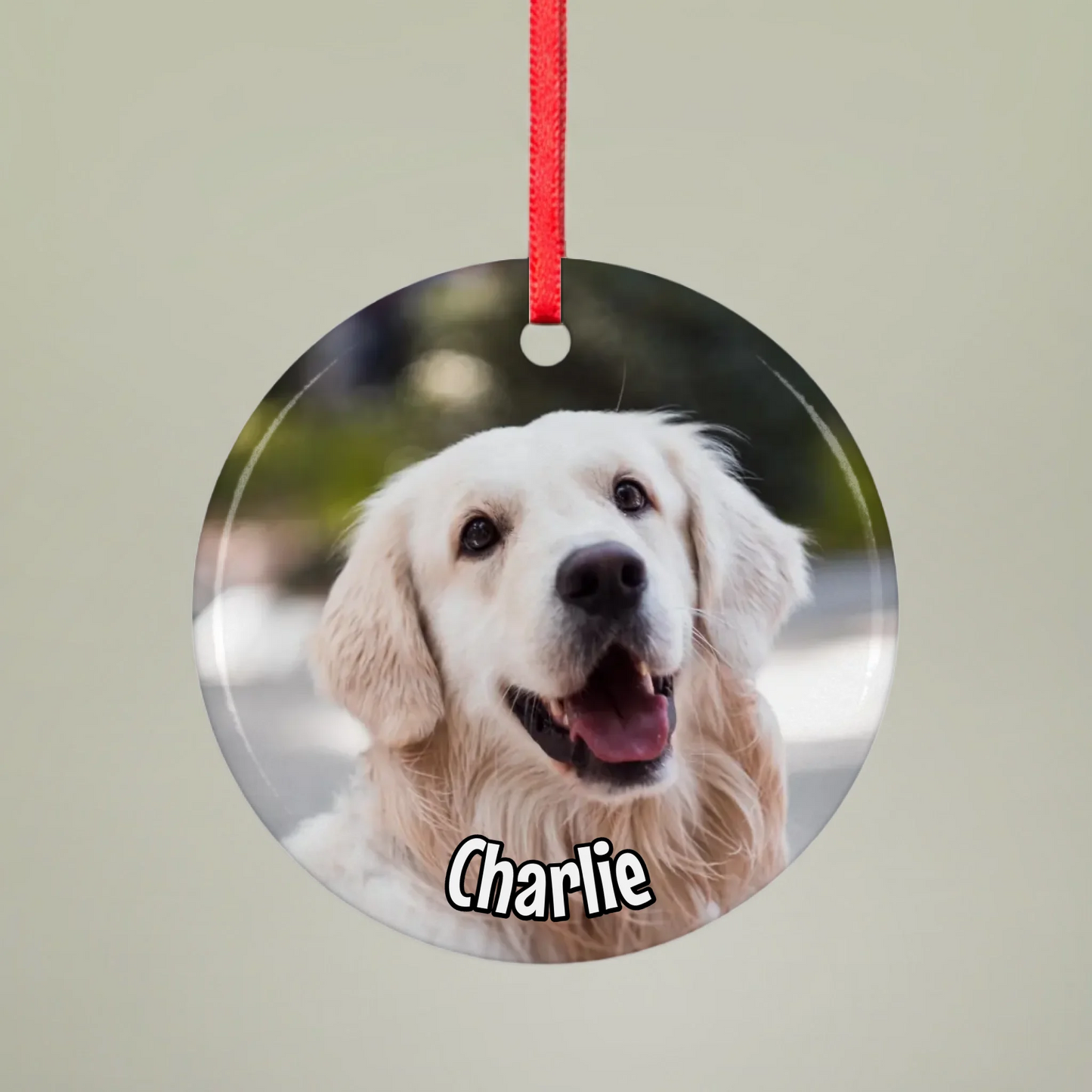 Mockup 1 Ornament Round Pfotly