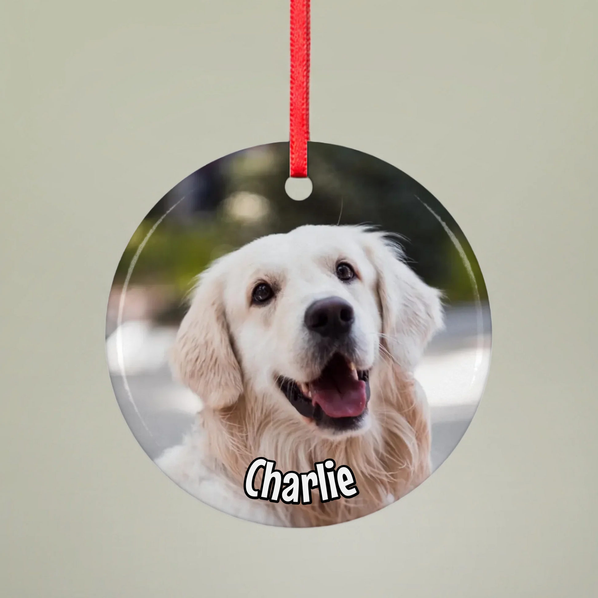 Mockup 1 Ornament Round Pfotly