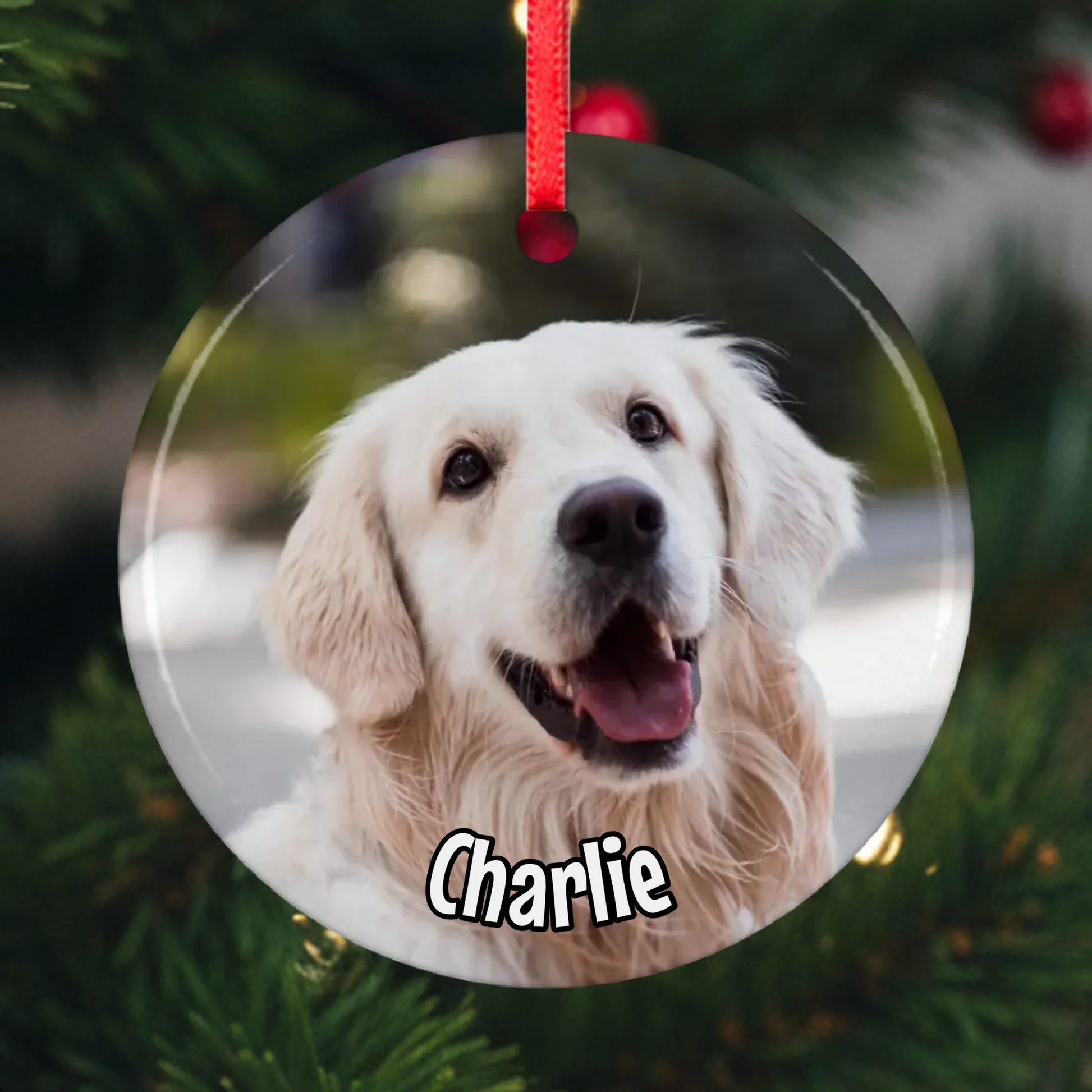 Mockup Ornament 1 Christmas Pfotly