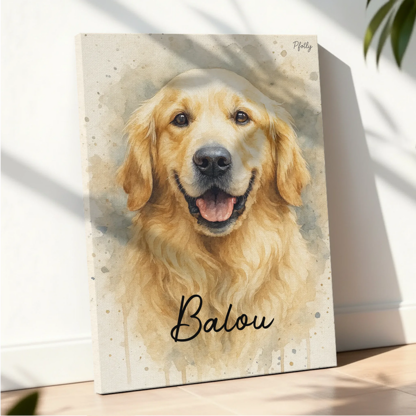 Canvas Mockup Pfotly Site